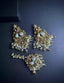 Stylish earrings with teeka