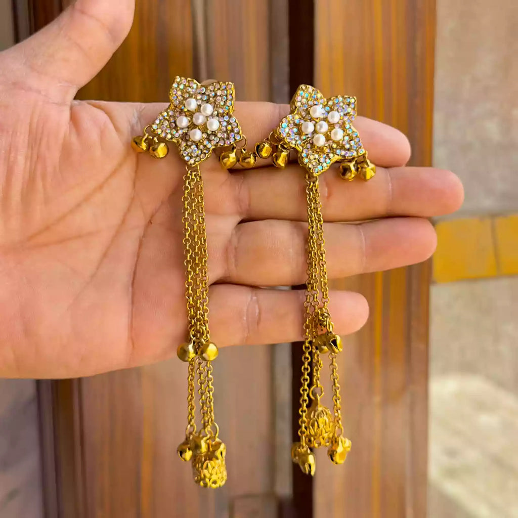 Floral kashmiri earrings