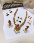 South indian set with changeable stones