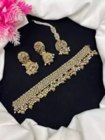 Elegant Choker Set with Teeka - Image 4